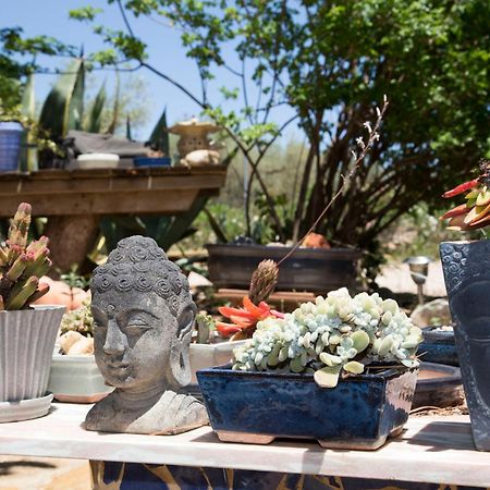 Yurta Mongola Delta Del Ebro Hotel Camarles Ngoại thất bức ảnh