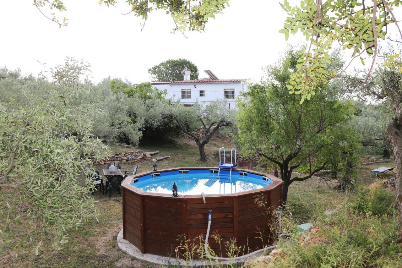 Yurta Mongola Delta Del Ebro Hotel Camarles Ngoại thất bức ảnh