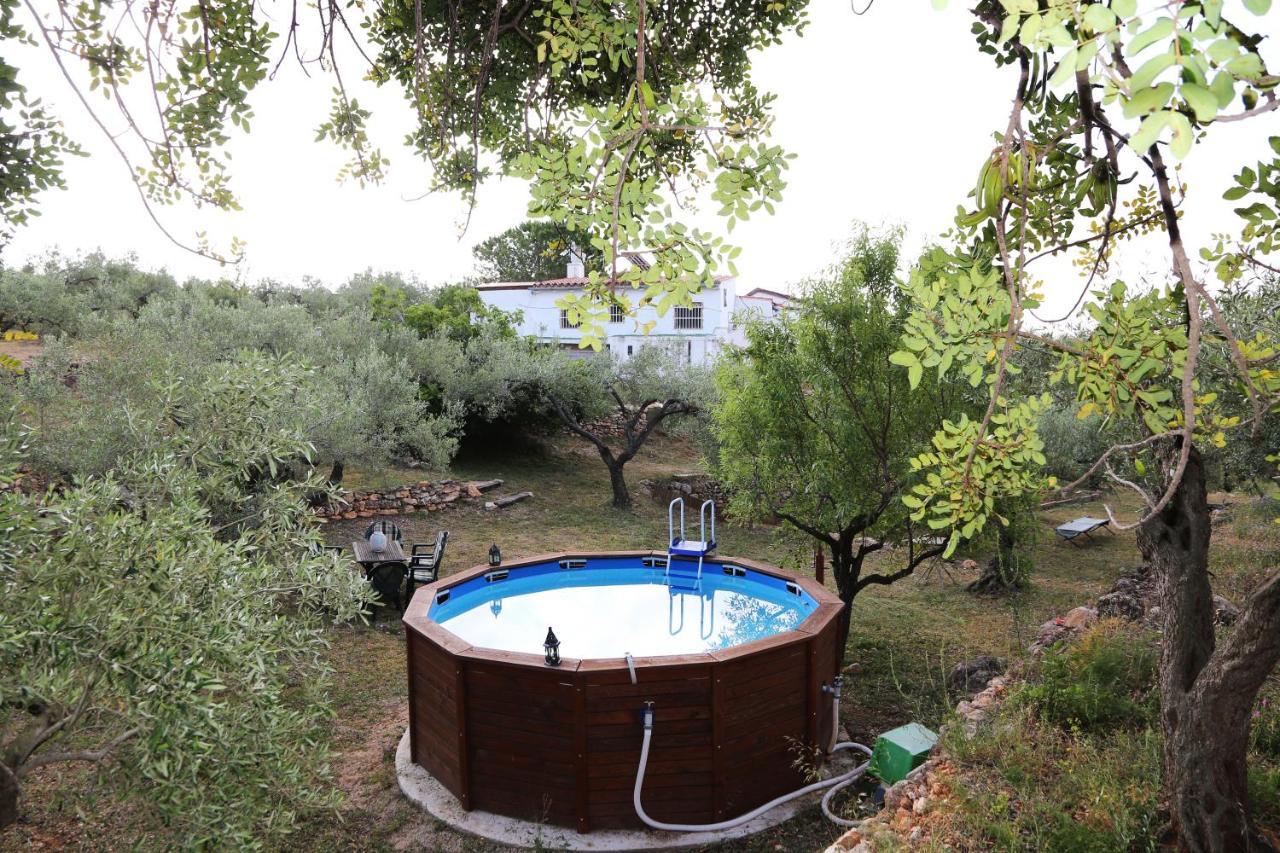 Yurta Mongola Delta Del Ebro Hotel Camarles Ngoại thất bức ảnh