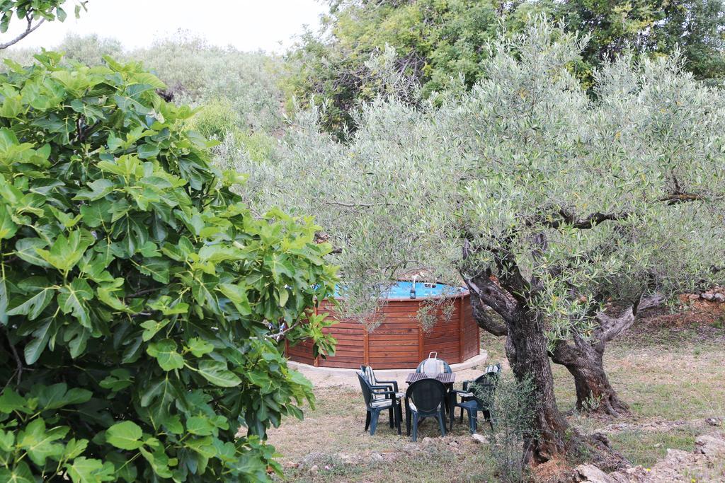 Yurta Mongola Delta Del Ebro Hotel Camarles Ngoại thất bức ảnh