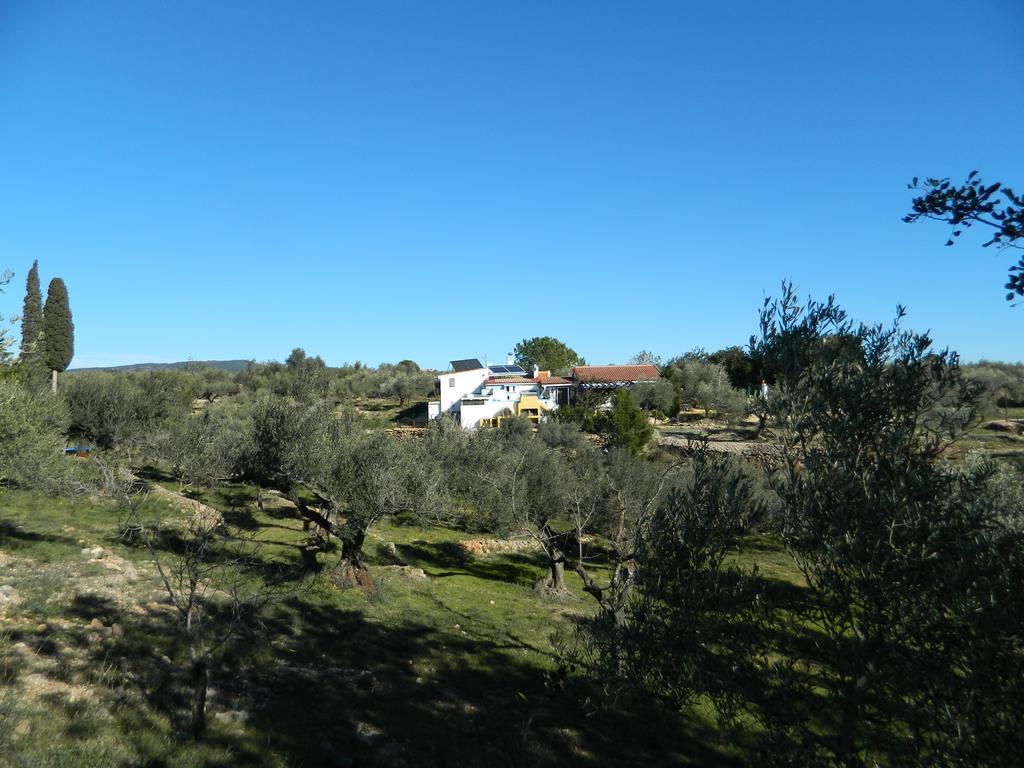 Yurta Mongola Delta Del Ebro Hotel Camarles Ngoại thất bức ảnh