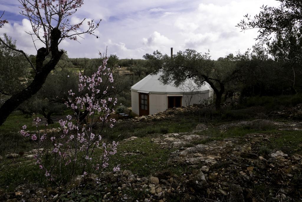 Yurta Mongola Delta Del Ebro Hotel Camarles Ngoại thất bức ảnh