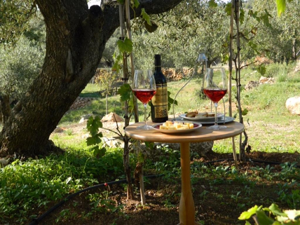 Yurta Mongola Delta Del Ebro Hotel Camarles Ngoại thất bức ảnh