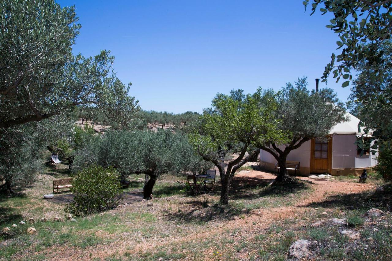 Yurta Mongola Delta Del Ebro Hotel Camarles Ngoại thất bức ảnh