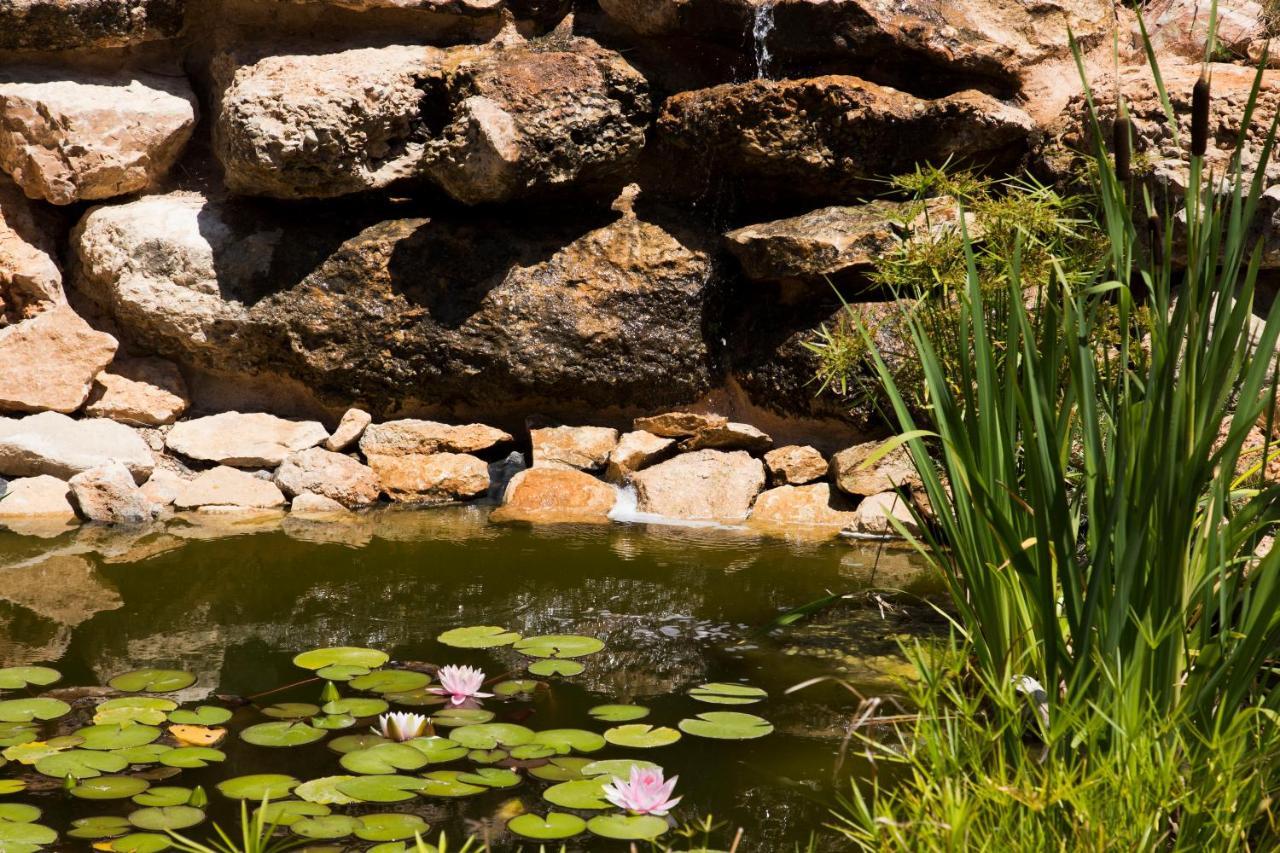 Yurta Mongola Delta Del Ebro Hotel Camarles Ngoại thất bức ảnh