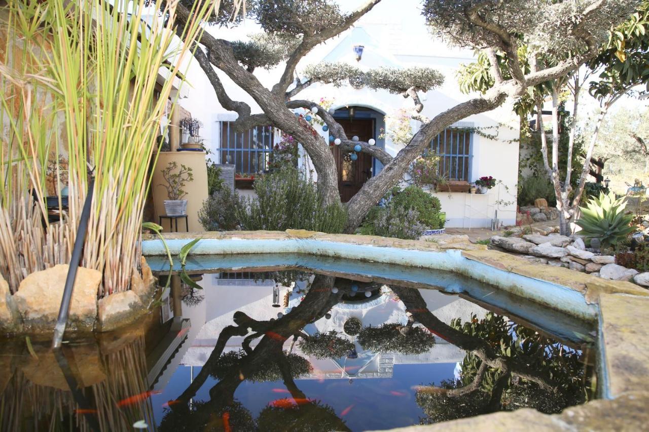 Yurta Mongola Delta Del Ebro Hotel Camarles Ngoại thất bức ảnh