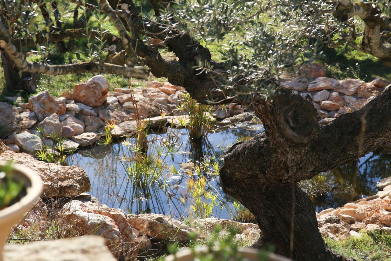 Yurta Mongola Delta Del Ebro Hotel Camarles Ngoại thất bức ảnh